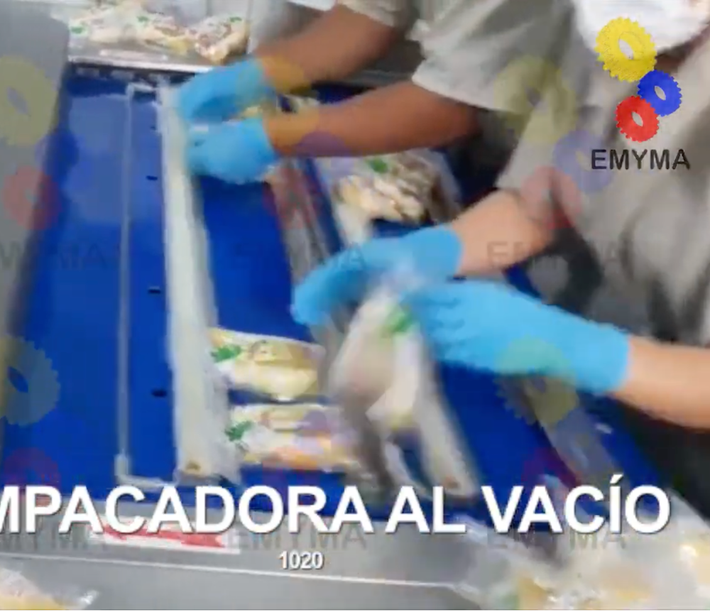 Empacadora al vacio 1020F